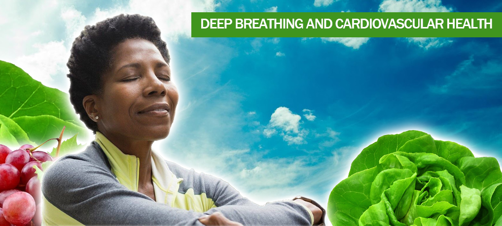 You are currently viewing Deep Breathing and Cardiovascular Health