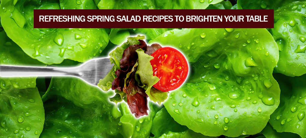 Refreshing Spring Salad Recipes To Brighten Your Table
